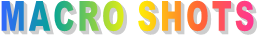 MACRO SHOTS